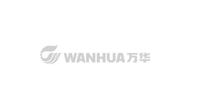 2022年金年会 金字招牌诚信至上总工程师荣获“泰山产业领军人才”